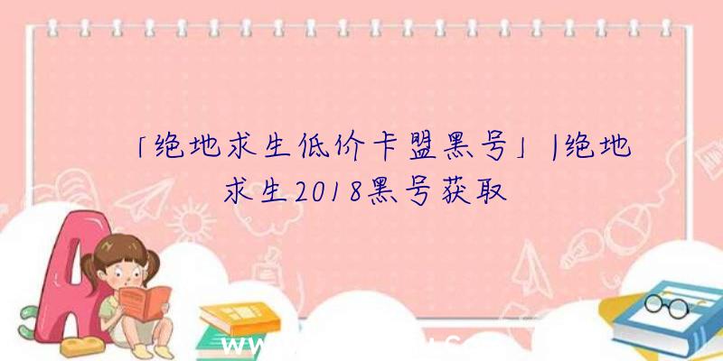 「绝地求生低价卡盟黑号」|绝地求生2018黑号获取